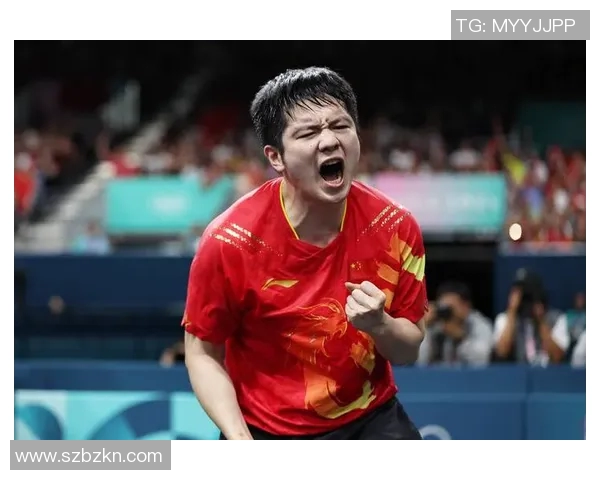 樊振东与马龙2017年巅峰对决回顾乒乓球历史上的经典时刻 樊振东与马龙2017年巅峰对决回顾乒乓球历史上的经典时刻