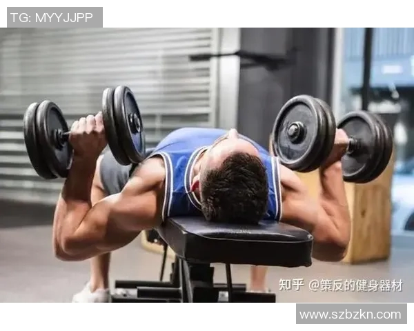 哑铃卧推25kg的水平分析及适合人群的详细解读