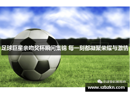 足球巨星亲吻奖杯瞬间集锦 每一刻都凝聚荣耀与激情