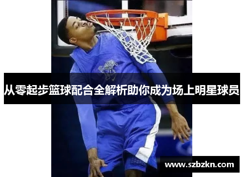 从零起步篮球配合全解析助你成为场上明星球员