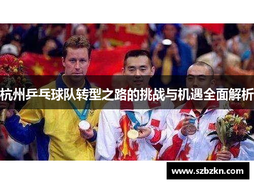 杭州乒乓球队转型之路的挑战与机遇全面解析