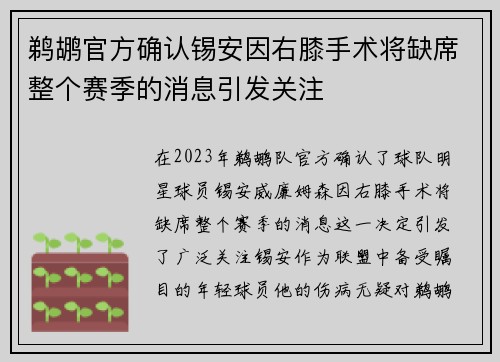 鹈鹕官方确认锡安因右膝手术将缺席整个赛季的消息引发关注